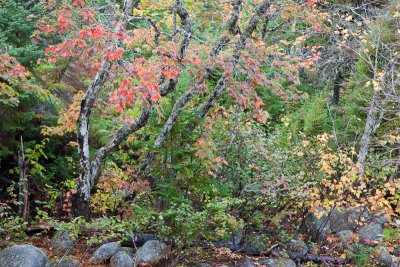20101007_Cape Breton_0106.jpg