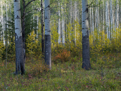 20120918_Alberta BC_0036.jpg