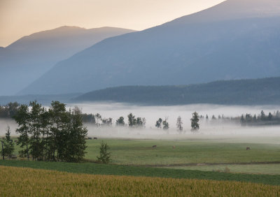 20120919_Alberta BC_0258.jpg