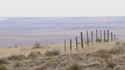 Pawnee Buttes area