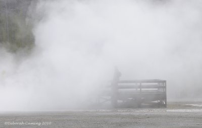 in the mist of a geyser