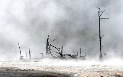 near Cliff Geyser