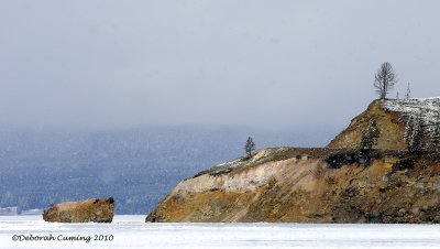 near Fishing Bridge