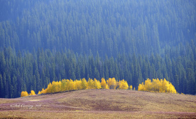 Togwotee Pass