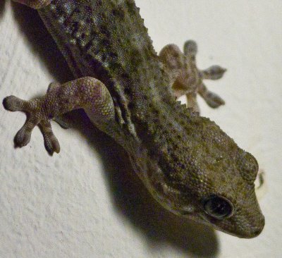 img2010_08_28_205231-2.jpg