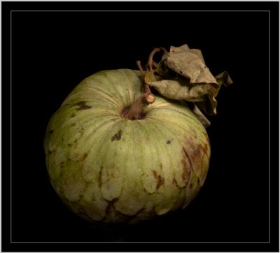 Cherimoya