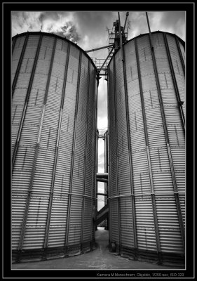 Leica M Monochrom, Zeiss C-Biogon 21mm/4.5@f/8