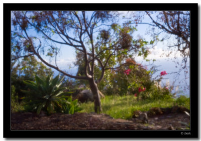 Pinhole
