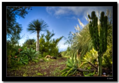 Pinhole