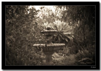 Pinhole