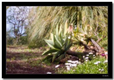 Pinhole