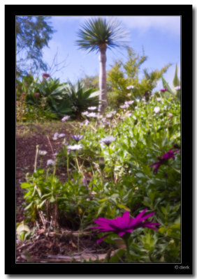 Pinhole DOF demo