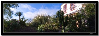 Pinhole pano, 2x4 images