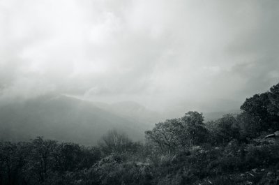 Foggy Overlook, Shenandoah National Park, VA