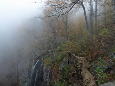 Lewis Falls in Fog, Shenandoah National Park, VA