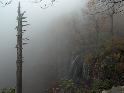 Lewis Falls in Fog II, Shenandoah National Park, VA