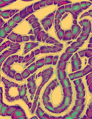 Copy of lauren snakes color.jpg
