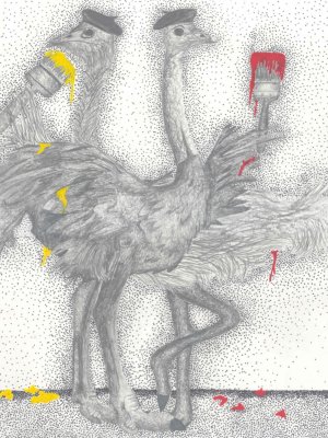 bird.jpg