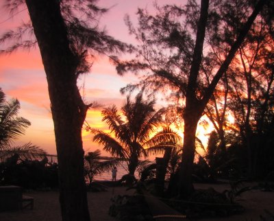Laying in my bunk looking at sunrise