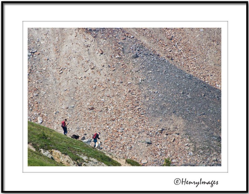 Alpine Hiking (2)