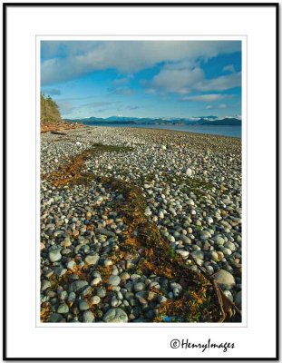 Seaweed on Beach