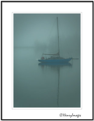 Drew Harbour Fog