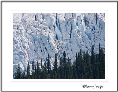 Robson Glacier