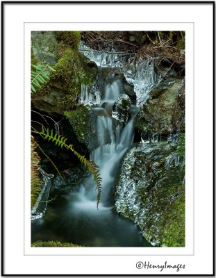 HENRYIMAGES, QUADRA ISLAND PHOTOGRAPHY  by Brent Henry