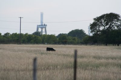 IMG_6277_1.jpg