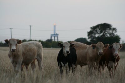 IMG_6296_1.jpg