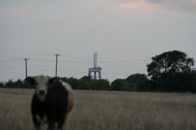 IMG_6298_1.jpg