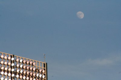 IMG_8113_1.jpg
