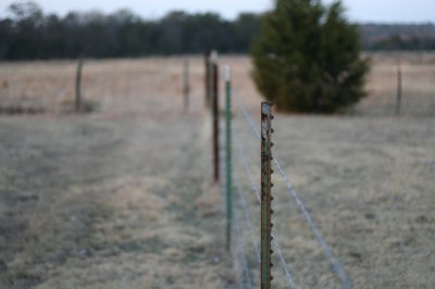 IMG_4373_1.jpg