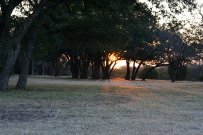 IMG_4374_1.jpg