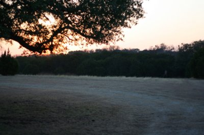 IMG_4377_1.jpg