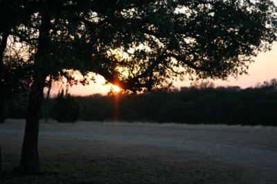 IMG_4378_1.jpg