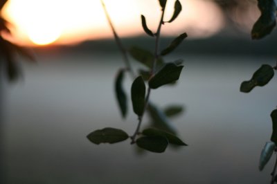 IMG_4379_1.jpg