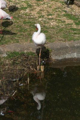 IMG_4431_1.jpg