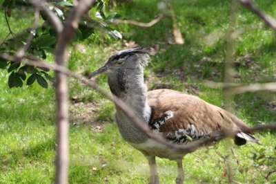 IMG_4447_1.jpg