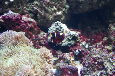 IMG_4449_1.jpg
