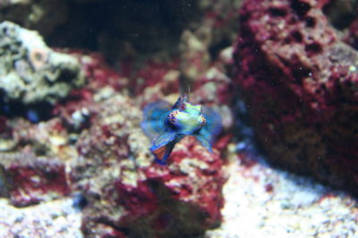 IMG_4450_1.jpg