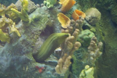 IMG_4453_1.jpg