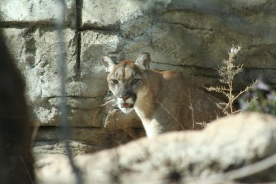 IMG_4468_1.jpg