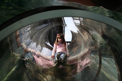 IMG_4473_1.jpg