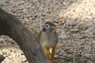 IMG_4483_1.jpg