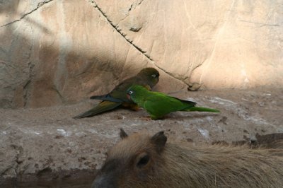 IMG_4485_1.jpg