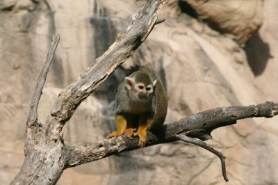 IMG_4489_1.jpg