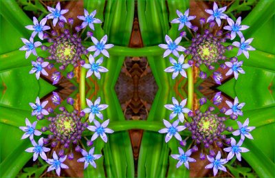 g1/79/738779/3/112243626.rdznfJkD.jpg