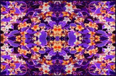 g1/79/738779/3/112395446.4j5ka2Fr.jpg