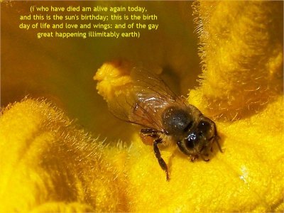 g1/79/738779/3/128451650.2sQ6UkUe.jpg